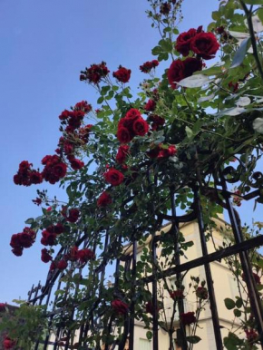 Ca' della Sfinge Colibrì
